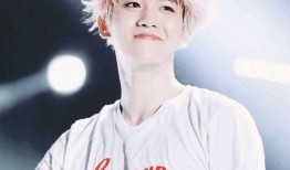 边伯贤爆料视频大全最新,揭秘明星幕后生活点滴