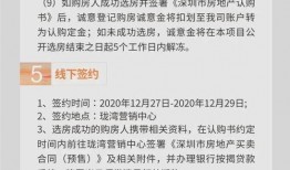 深圳金深小洋最新爆料,揭秘行业背后惊人内幕