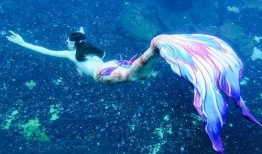 长沙美人鱼爆料视频最新,神秘水下生物真实面目曝光