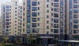 浦东新高苑最新爆料消息,揭秘神秘豪宅背后的故事