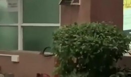 威远吃瓜最新事件爆料新闻,最新爆料揭露惊人内幕