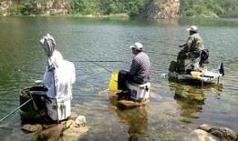 科学钓鱼最近最新爆料,揭秘钓鱼界的黑科技与未来趋势