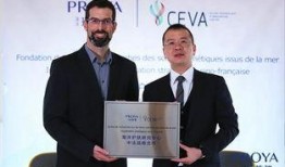 珀莱雅最新爆料,揭秘护肤界的神秘力量